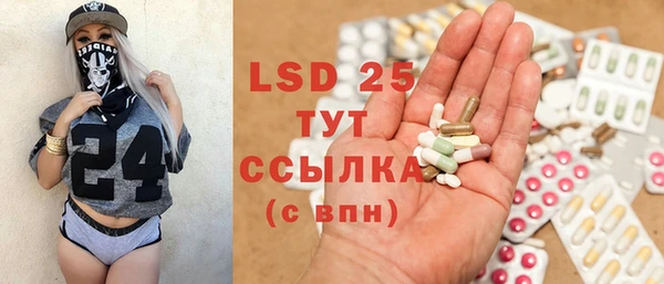 ГАЛЛЮЦИНОГЕННЫЕ ГРИБЫ Елабуга