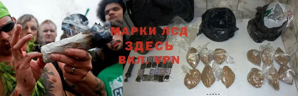 ГАЛЛЮЦИНОГЕННЫЕ ГРИБЫ Елабуга
