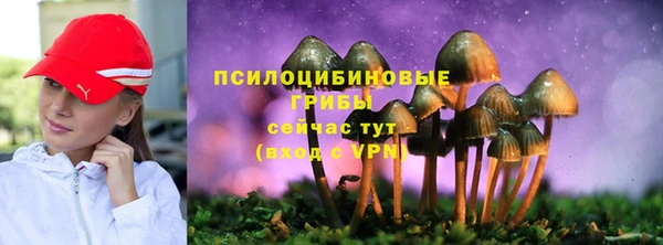 ГАЛЛЮЦИНОГЕННЫЕ ГРИБЫ Елабуга