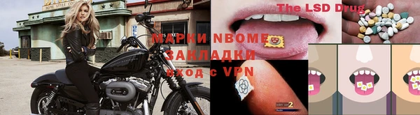 ГАЛЛЮЦИНОГЕННЫЕ ГРИБЫ Елабуга