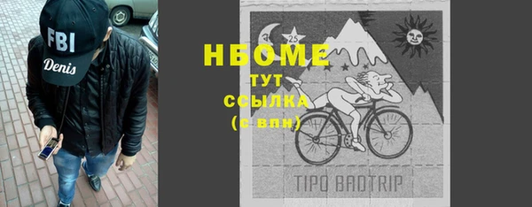 хмурый Ельня