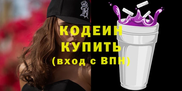 хмурый Ельня
