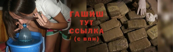 хмурый Ельня