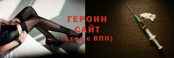 хмурый Ельня