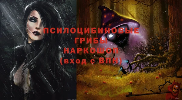 хмурый Ельня