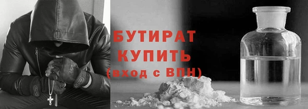 хмурый Ельня
