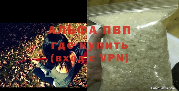 ГАЛЛЮЦИНОГЕННЫЕ ГРИБЫ Елабуга