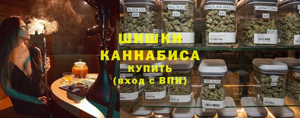 хмурый Ельня