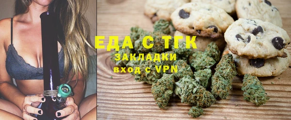 хмурый Ельня