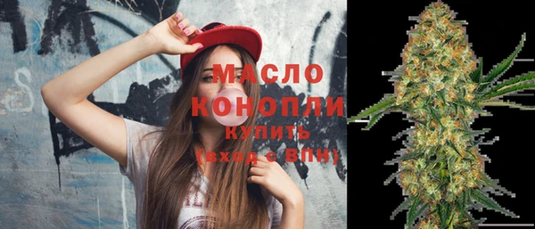 хмурый Ельня