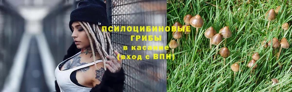 ГАЛЛЮЦИНОГЕННЫЕ ГРИБЫ Елабуга