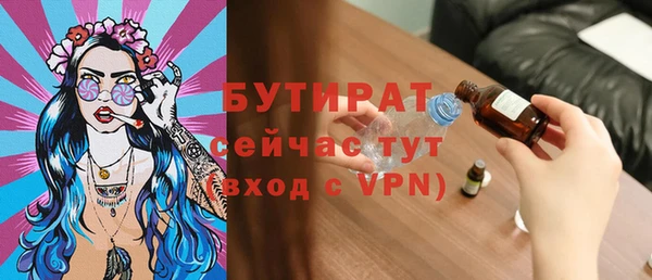 хмурый Ельня