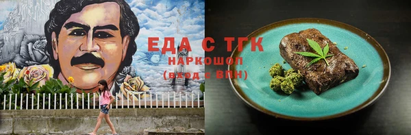 хмурый Ельня